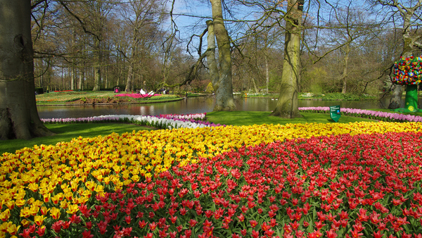 Netherlands_Parks_Pond_Tulips_Keukenhof_Trees_526996_3840x2160