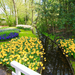 Netherlands_Parks_Tulips_Spring_Pond_Keukenhof_526310_2560x1440