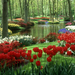 Rich-flower-garden-HD-wallpaper-1366x768