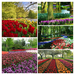 1005622_keukenhof-gardens-netherlands-wallpaper_3888x2592_h-COLLA