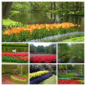 Netherlands_Parks_494766-COLLAGE