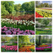 Netherlands_Parks_Pond_Tulips_Keukenhof_Lisse_547604_1280x720-COL