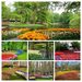 Netherlands_Parks_Spring_Pond_Tulips_Keukenhof_525306_2880x1800-C