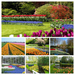 Netherlands_Parks_Tulips_477439-COLLAGE