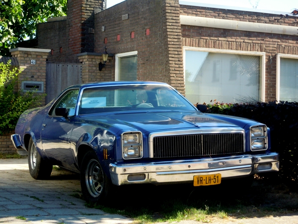 DSCN5928_Chevrolet-el-Camino_1977_V8_vr-lh-51