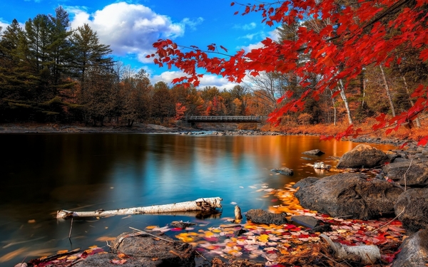 954146-autumn-lakes-wood