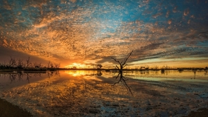 campbells-swamp-lake-wyangan-australia