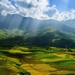 Vietnam-Yen-Bai-Province-beautiful-scenery-valley-fields_1600x120