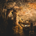 503-2018-04-29 1 Grotten van Drach-0601