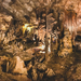 507-2018-04-29 1 Grotten van Drach-0610