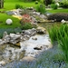 Garden-Pond-1