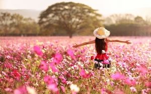 Girl-in-Pink-Flowers-Field-Wallpapers-HD-Pictures