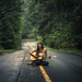 Girl-Playing-Guitar-On-Countryside-Road-1440x1280