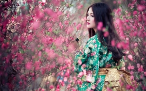 kimono-woman-cherry-blossom