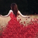 Red-rose-petals-dress-with-girl_2560x1600