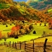Fall-Scenery-Wallpaper-HD