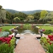 flowers-garden-park-plants-California-pond-backyard-Fioli-Califor
