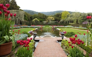 flowers-garden-park-plants-California-pond-backyard-Fioli-Califor