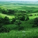 landscapes-grass-fields