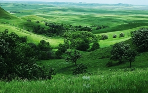 landscapes-grass-fields