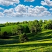summer-field-meadow-trees-sky-clouds-hd-1080P-wallpaper