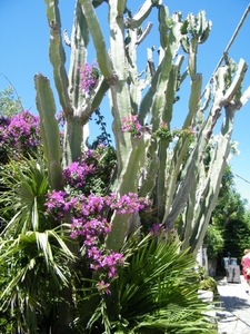 2018_06_10 Amalfi 105