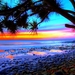 911281-cool-beach-sunset-background-2560x1440-pictures