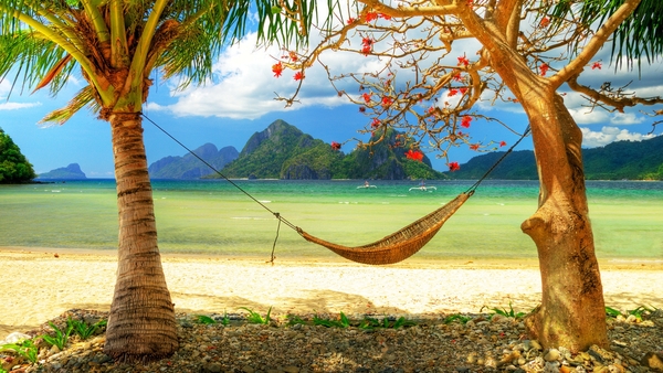 hammock-coast-palm-tree-leaves-beach-relax-privacy-1063593