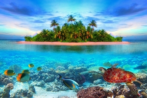 Nature___Islands_Island_in_the_tropics_089496_