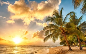 Tropical-paradise-beach-palms-sea-ocean-sunset_1680x1050