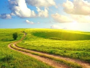 field_path-Beautiful_summer_landscape_wallpaper_1152x864
