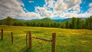 Summer-landscape-grass-yellow-flowers-fence-hills-clouds_1920x108