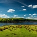 wallpapersden.com_field-river-grass_2560x1440