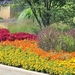annual-flower-garden-designs-for-full-sun-flower-bed-ideas-for-fu