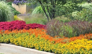 annual-flower-garden-designs-for-full-sun-flower-bed-ideas-for-fu