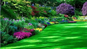 beautiful-flower-garden-front-yard-stunning-photos-800x450