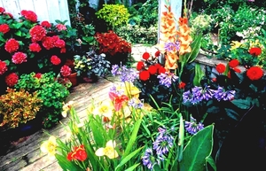 flower-garden-design-pictures-home-garden-and-lifestyle-scene