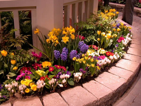flowers-garden-pictures-ideas-lovely-flowers-garden-pictures-idea