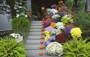 front-porch-gorgeous-design-ideas-using-rectangular-grey-steps-an