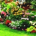 front-yard-landscaping-ideas-with-unique-plant-and-flower