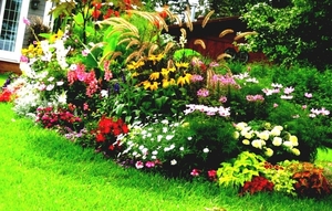 front-yard-landscaping-ideas-with-unique-plant-and-flower