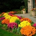 garden-design-garden-design-colored-flowers-lawn-area