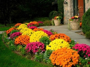 garden-design-garden-design-colored-flowers-lawn-area