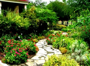 home-landscaping-design-interior-beautiful-yard