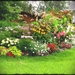 low-maintenance-garden-design-modern-ideas-for-small-gardens-bed-