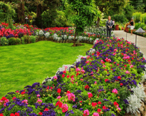 pictures-of-flower-arrangements-bouquets-beds-gardens-garden-back