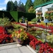plant-lawn-flower-city-botany-garden-flora-flowers-landscaping-co