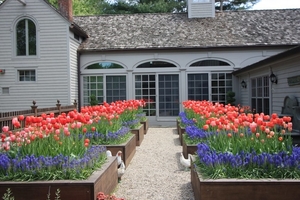 round-flower-bed-landscape-traditional-with-conte-llc-rustic-outd