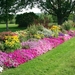 yard-flowers-landscaping-mesmerizing-colourful-rectangle-unique-g