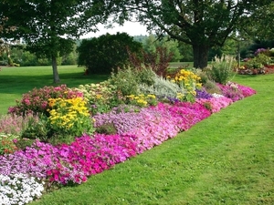 yard-flowers-landscaping-mesmerizing-colourful-rectangle-unique-g